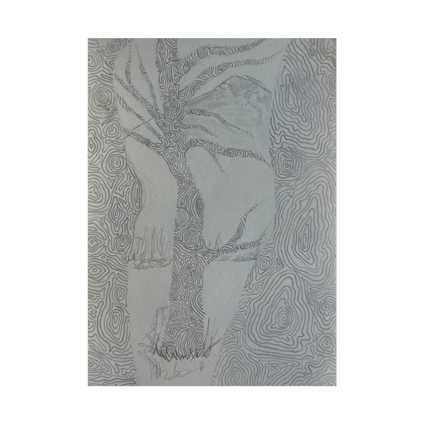 'Lost In The Tree Bark' 5x7 Print