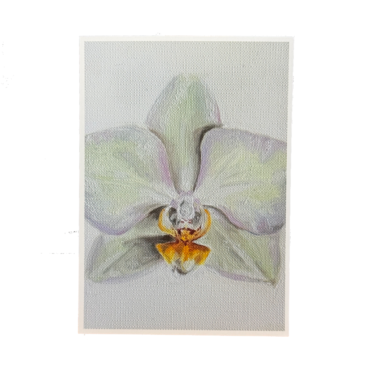 ‘Orchid’ 5x7 Print