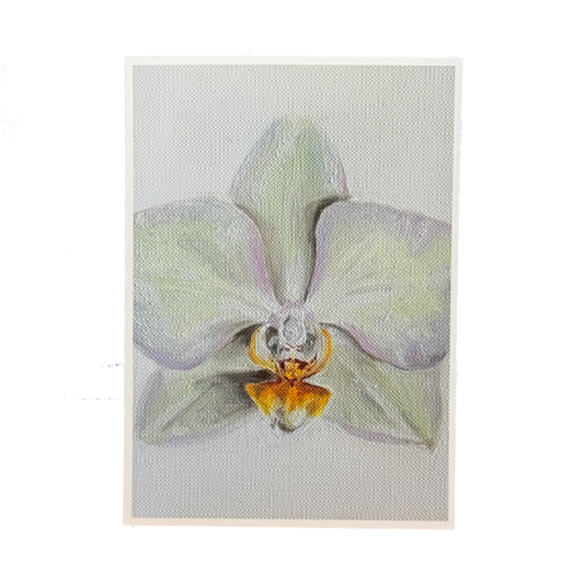 ‘Orchid’ 5x7 Print